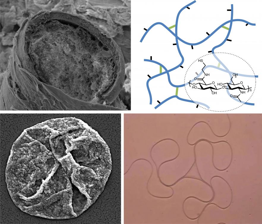 Structuring soft matter