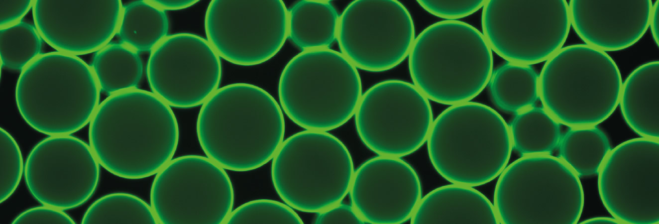 Bioactive emulsions